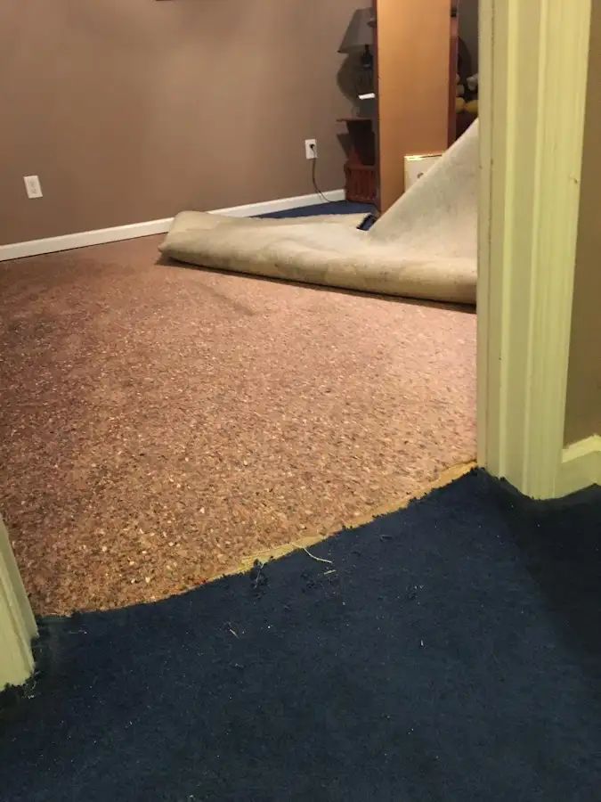 Carpet pad removal revealing water damage during Water Mitigation Services in Boston